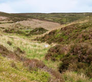 Image of GRANGE MOOR